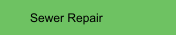 Sewer Repair